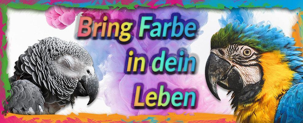 Profi-Airbrush - Bring Farbe in dein Leben mit Airbrush